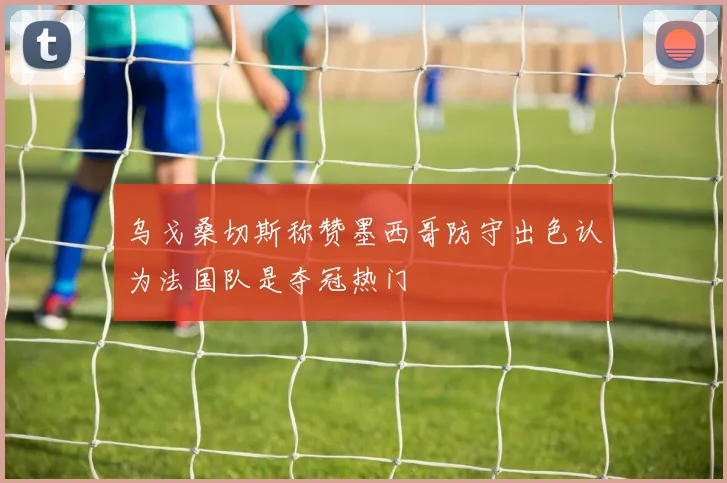 乌戈桑切斯称赞墨西哥防守出色认为法国队是夺冠热门