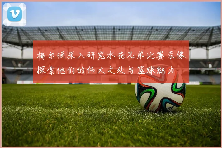 梅尔顿深入研究水花兄弟比赛录像探索他们的伟大之处与篮球魅力